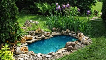 landscaping pond