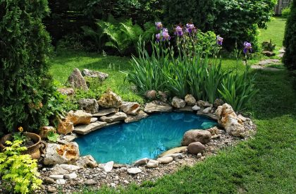 landscaping pond