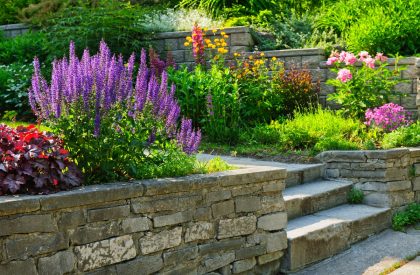 flowers wall landscaping