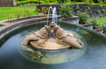 fountain with fish